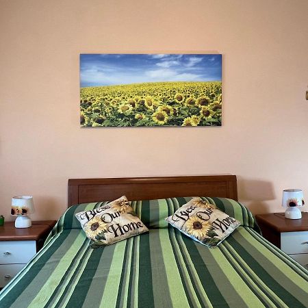 Vicino A Tutto Bed and Breakfast Vercelli Eksteriør billede